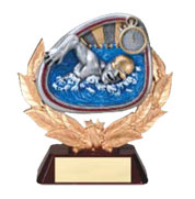 swim award phoenix