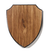 phoenix awards police military fire