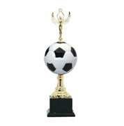 phoenix awards trophy soccer