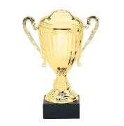 phoenix awards trophy soccer