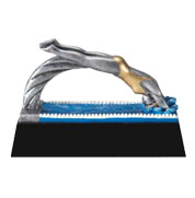 swim award phoenix