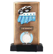 swim award phoenix
