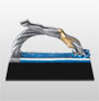 swim awards phoenix