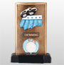swim awards phoenix